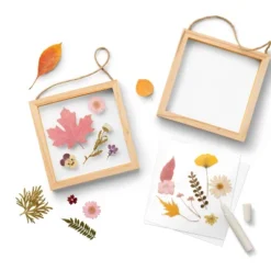 Harvest Pressed Floral Frame - Mondo Llama™ -Mondo Llama Shop GUEST 1f3ddb01 ac58 4d25 8570 4a2c0545119f