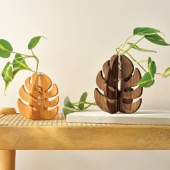 Plant Propagation Garden Wood Craft Kit - Mondo Llama™: Ages 8+ -Mondo Llama Shop GUEST 27819ca2 e947 460a bc40 58a6d31de419