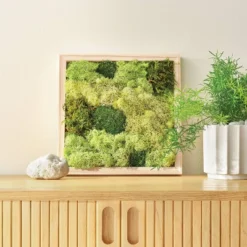 Preserved Moss Art Wood Craft Kit - Mondo Llama™ -Mondo Llama Shop GUEST 3f894b7b 1e8e 403c a1b7 20904893be85