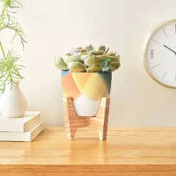 Dip Painting Planter DIY Art Kit - Mondo Llama™: Ceramic Craft Activity, Acrylic Paints & Brushes -Mondo Llama Shop GUEST a52cb215 b11a 4320 99a1 af76a615367a