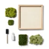 Preserved Moss Art Wood Craft Kit - Mondo Llama™